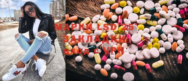 тгк Ельня