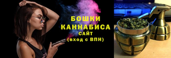 тгк Ельня