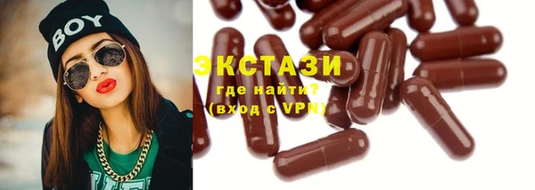 тгк Ельня