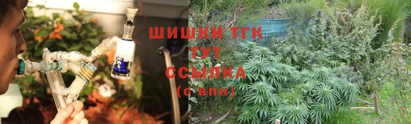 тгк Ельня