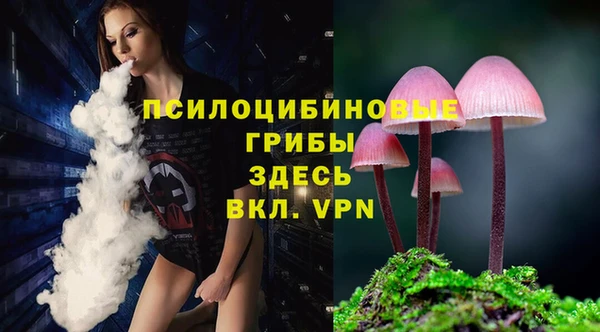 тгк Ельня