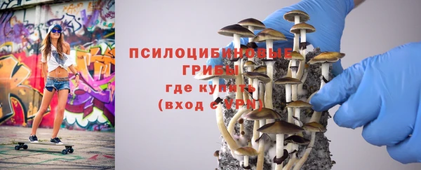 соль ск Семилуки