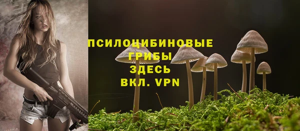 марки lsd Елабуга