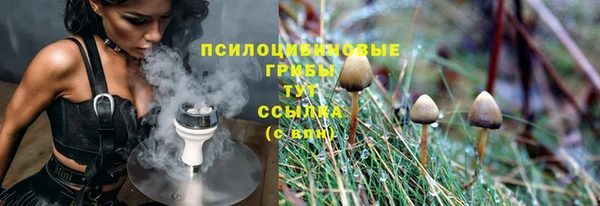тгк Ельня