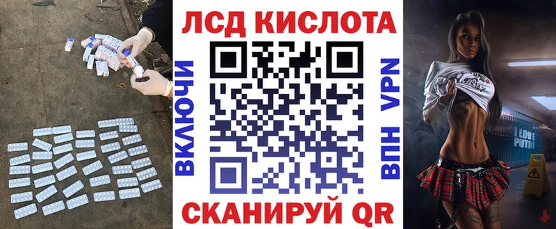 где можно купить   Волхов  Лсд 25 экстази ecstasy 