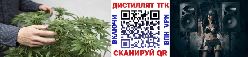 ТГК THC oil  Волхов 