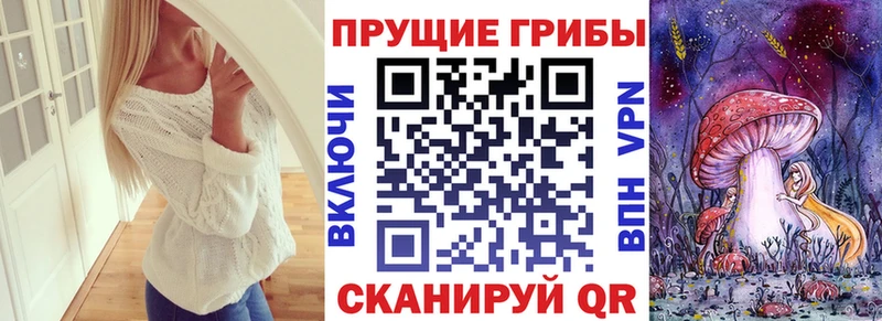 Псилоцибиновые грибы мицелий  дарнет шоп  Волхов 
