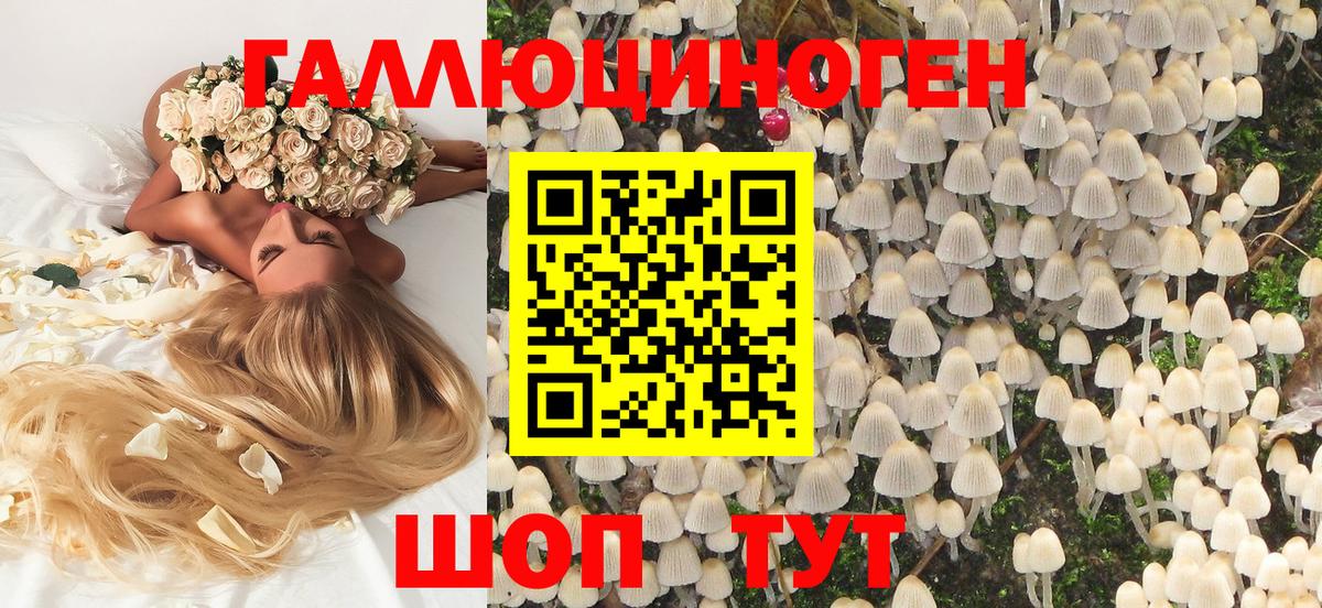 Волхов  Псилоцибиновые грибы ЛСД  Вход с VPN 